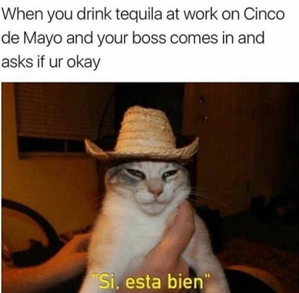 Here Are Your Cinco De Mayo Memes, Damas Y Caballeros!