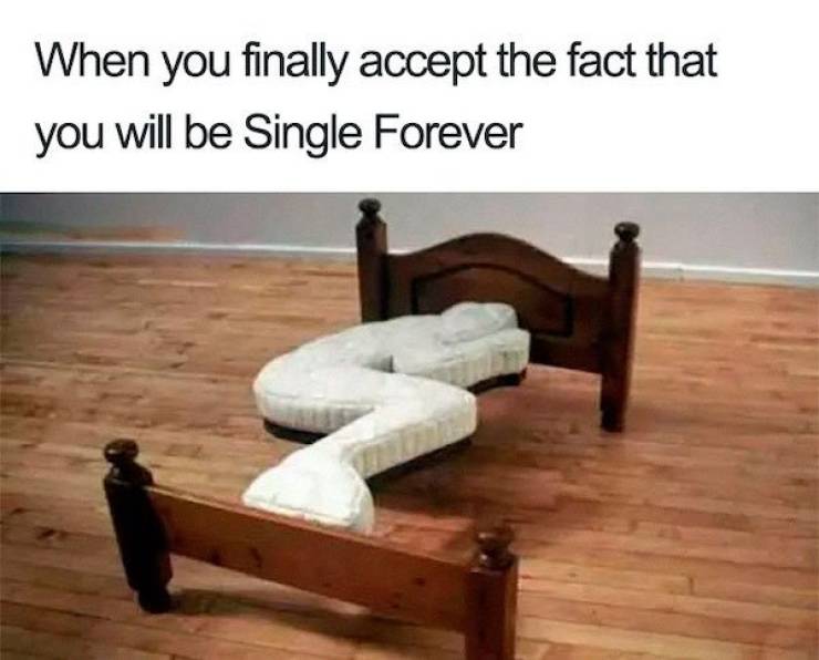 You Will Only Understand These Memes If You Are Single…