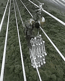 Daily Gifdump [WEEKEND EDITION]