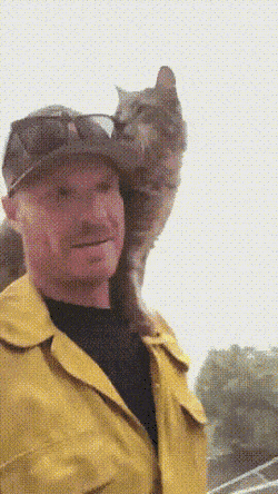 Daily Gifdump [WEEKEND EDITION]