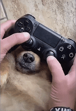 Daily Gifdump [WEEKEND EDITION]