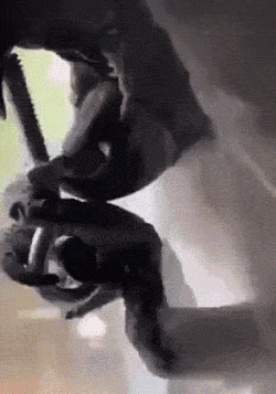 Daily Gifdump [WEEKEND EDITION]