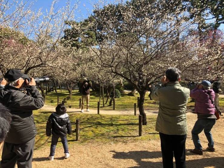 Japan Is Like Another Planet…