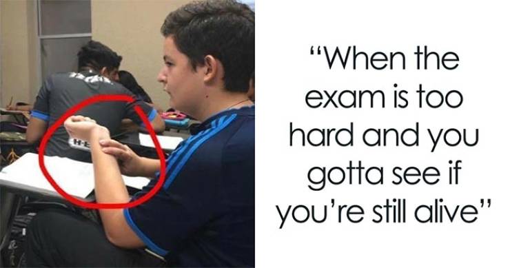 Don’t Disturb These Student Memes, They Are Sleeping Right Now