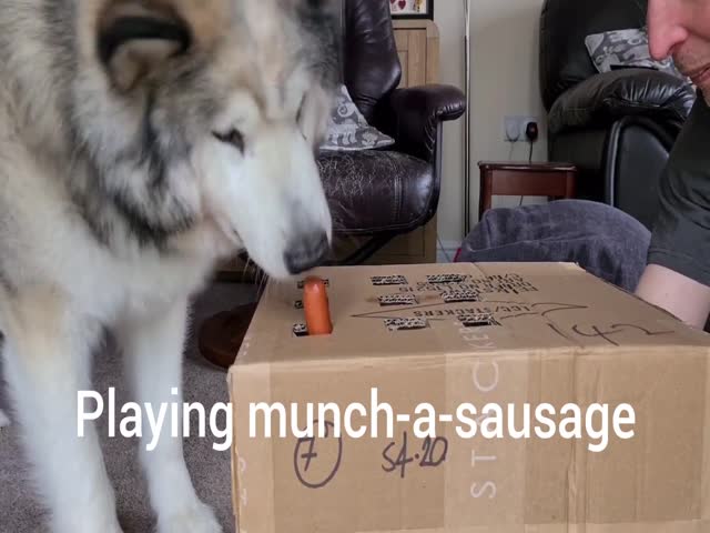 The Sausage Struggle