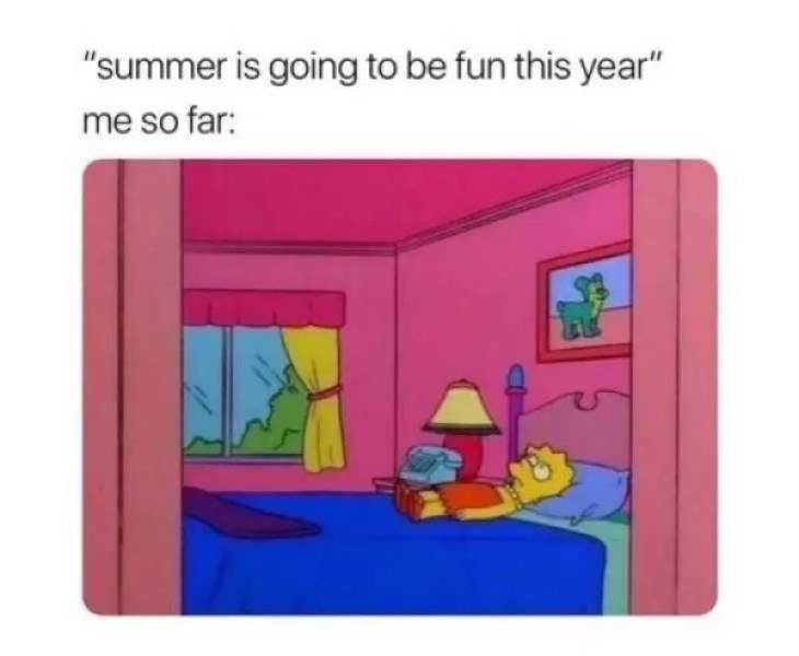 Summer Memes Coming In Hot!