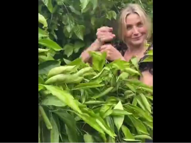 Crazy Cameron Diaz