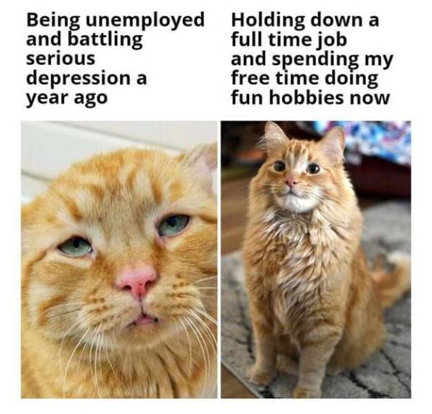 Relax With These Wholesome Memes