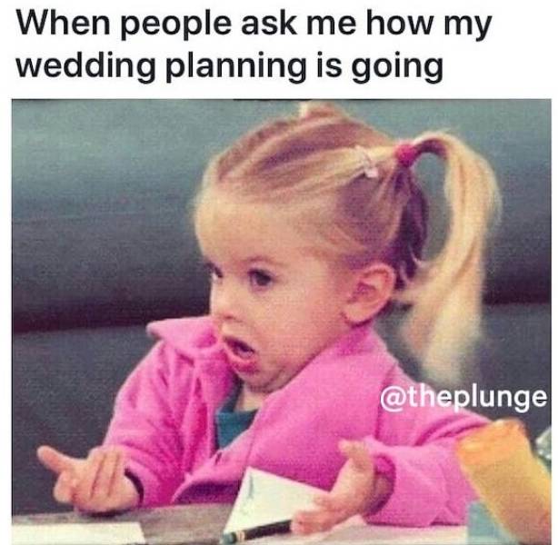 Wedding Budget Cannot Afford These Memes…