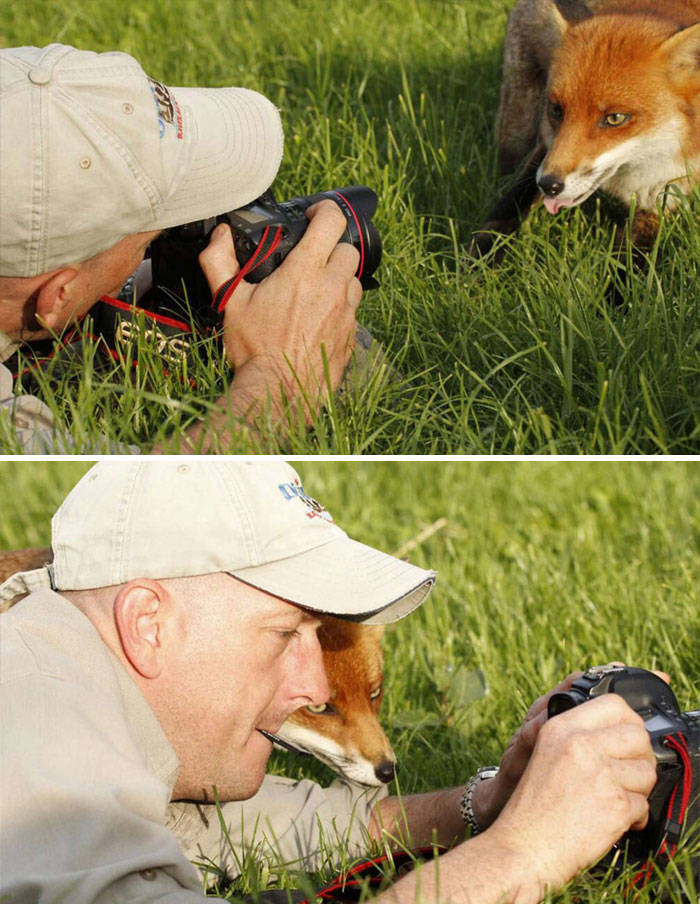 Don’t Even Try To Explain These Animal Photos