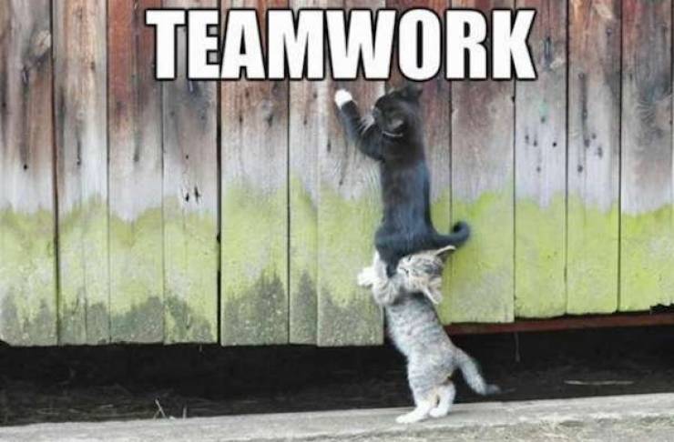 Teamwork Makes The Nightmares Work…