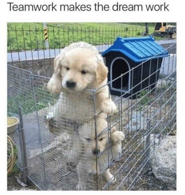 Teamwork Makes The Nightmares Work…