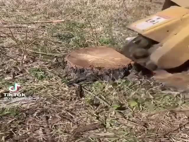 Removing A Stump