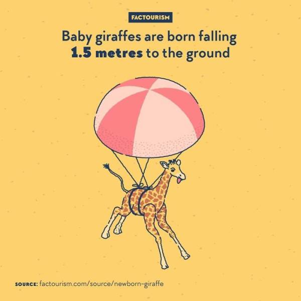 Illustrated Facts About Our World