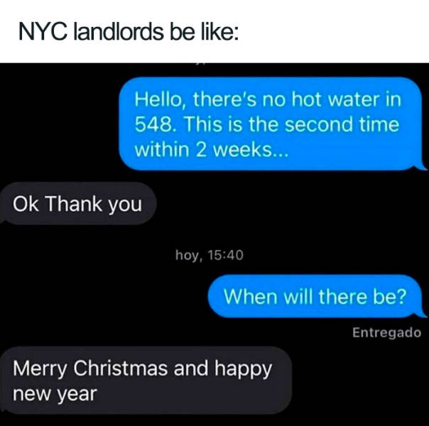 The Real Life Of New York City