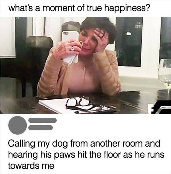 Dog Owners Know These Memes By Heart…