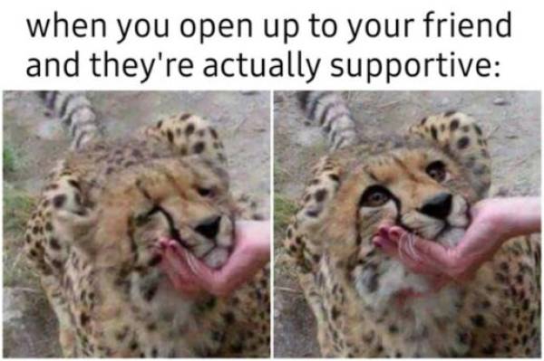Let These Wholesome Memes Lift You Up!