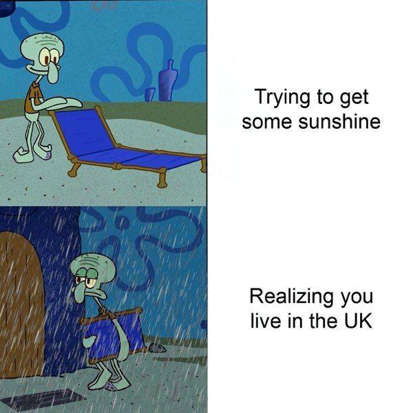 Summer Memes Are Hot, But Not In A Good Way…