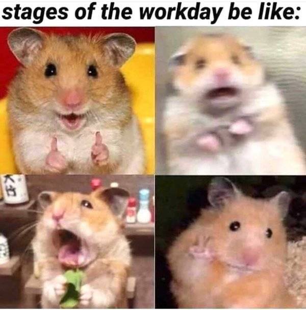 These Memes Will Avoid Work At All Costs!