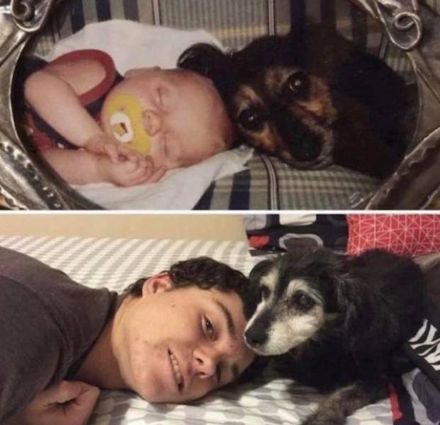 These Wholesome Pictures And Stories Will Make You Feel Better!