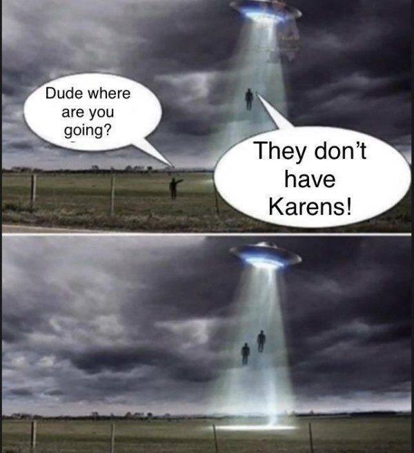 Oh No, Not Another Karen!