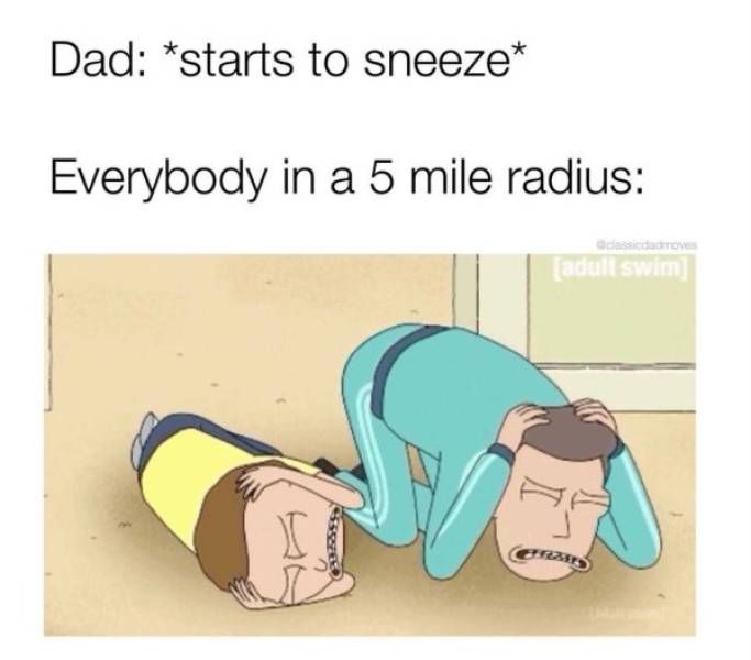 Dads Have The Best Memes!