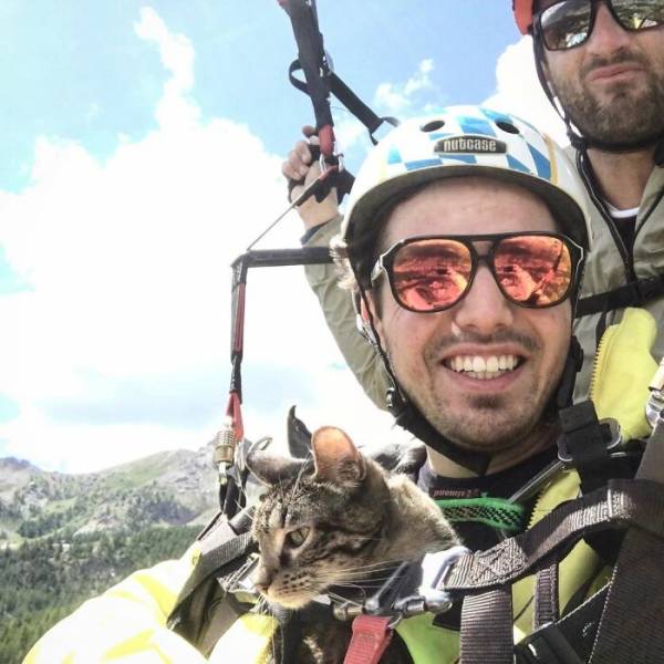 This Cat Is A Real Adventurer!