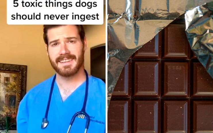 Veterinarian Shares Lesser-Known Pet Care Tips