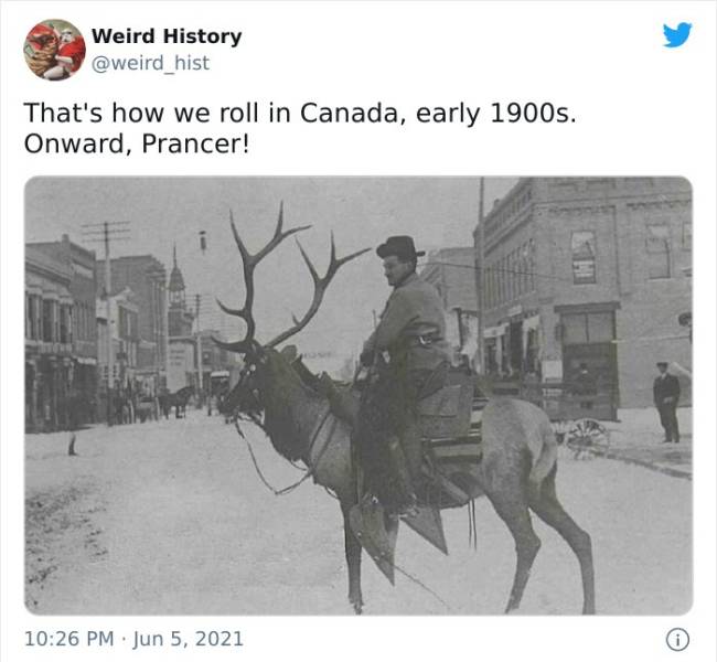 Weird Pieces Of History