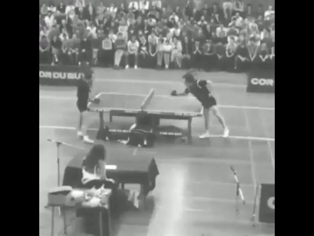 Table Tennis Professionals