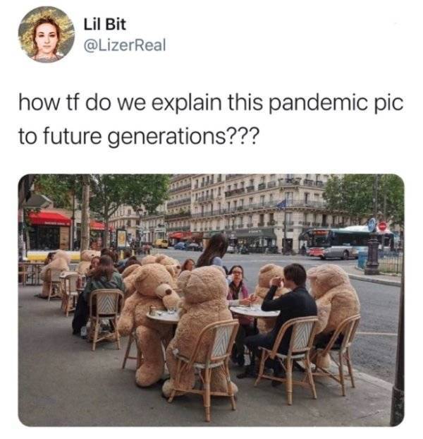 Pandemic Is Almost Over. Memes Aren’t