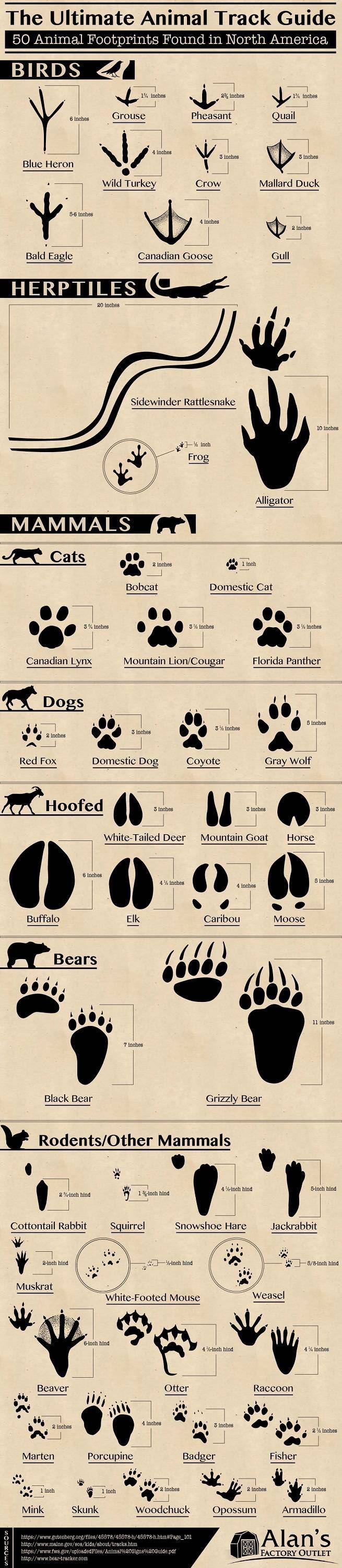 Random Charts, Random Knowledge