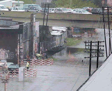 Daily Gifdump Daily Gifdump