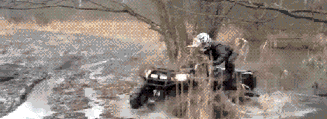 Daily Gifdump Daily Gifdump