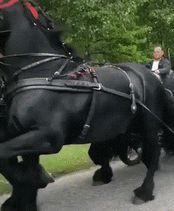 Daily Gifdump Daily Gifdump