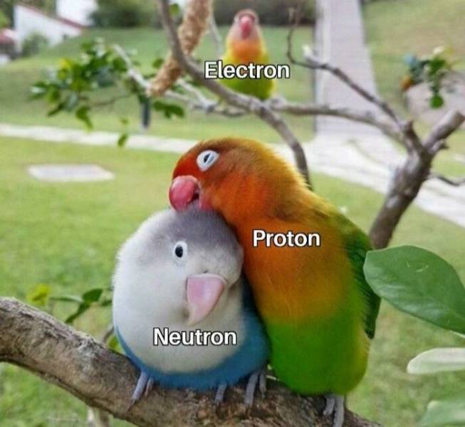 These Science Memes Are Too Clever!