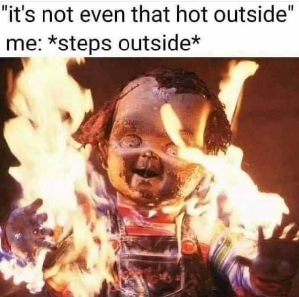 These Summer Memes Are Way Too Hot…