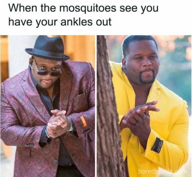 These Summer Memes Are Way Too Hot…