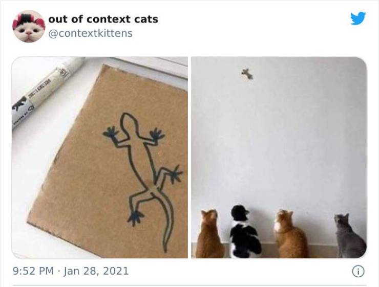 These Cats Are Out Of Context!
