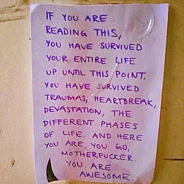 Morning Picdump