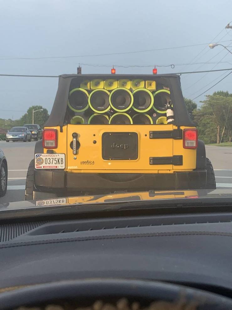 Morning Picdump