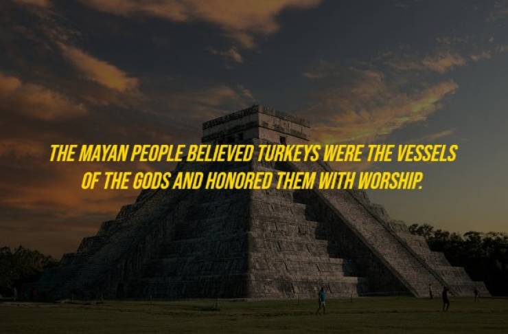 These History Facts Are Not Outdated!