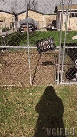 Morning Gifdump Morning Gifdump