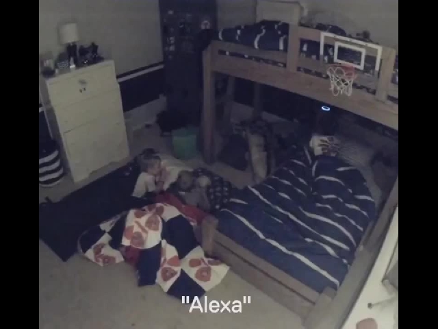 Alexa Has No Chill…