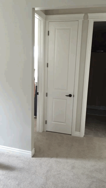 Morning Gifdump Morning Gifdump