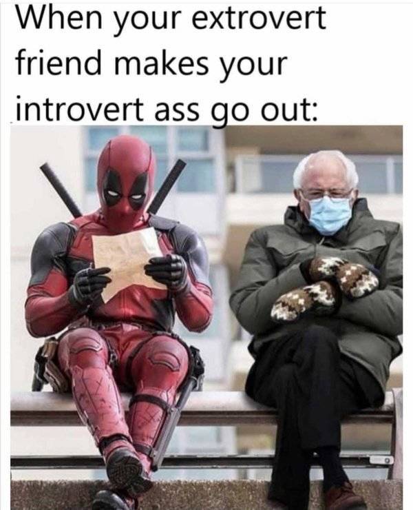 Introverts, You Can Hide These Memes From Everyone