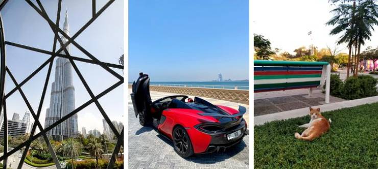What You Didn’t Know About The United Arab Emirates…
