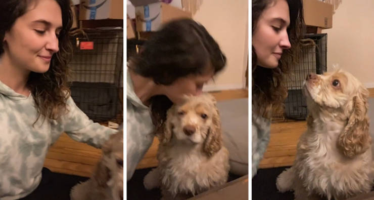 Unexpected Kisses For Everyone!