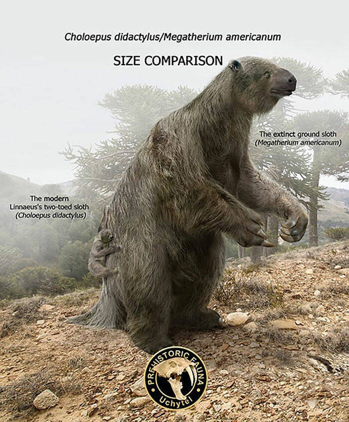 Digital Artist Compares Extinct Prehistoric Animals With Their Modern Relatives