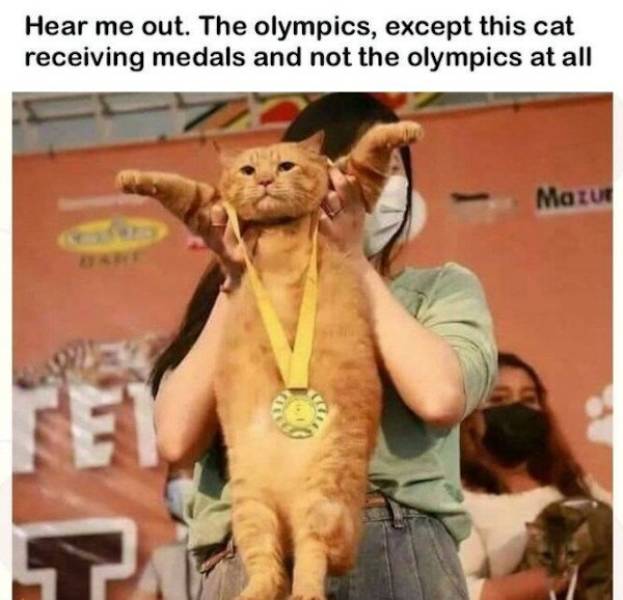 Let’s Get All The Olympic Meme Medals!